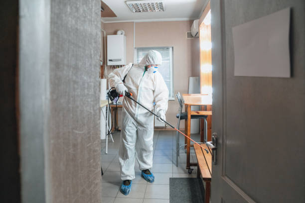Best Mold Remediation for Healthcare Facilities  in Durand, MI