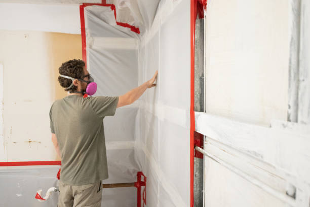 Best Mold Remediation for Vacation Homes  in Durand, MI