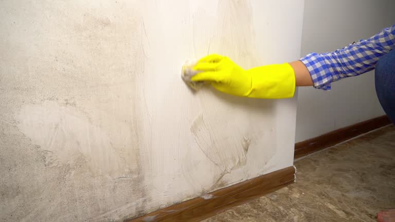 Best Industrial Mold Remediation  in Durand, MI