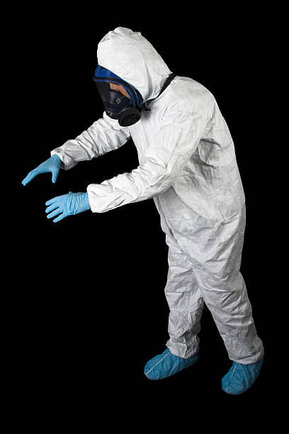 Best Basement Mold Removal  in Durand, MI